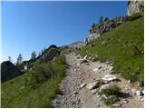 Palafavera - Rifugio Torrani